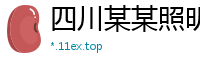 四川某某照明维修站